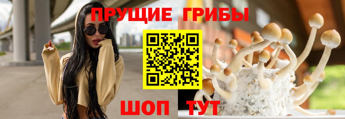 Сочи  Псилоцибиновые грибы прущие грибы  Вход с VPN  Псилоцибиновые грибы прущие грибы 